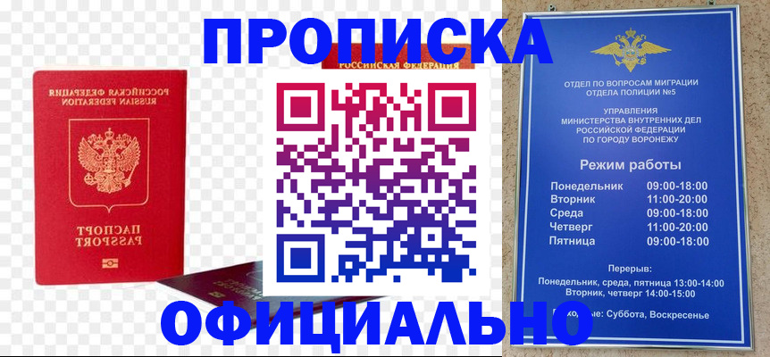 прописка иностранных граждан в Снежинске